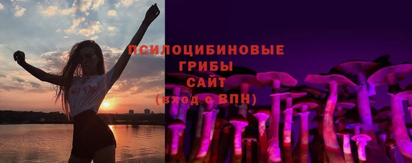 соль ск Балахна