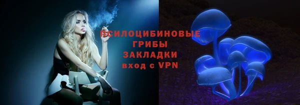 соль ск Балахна