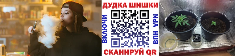 где продают наркотики  Красный Кут  Шишки марихуана SATIVA & INDICA 